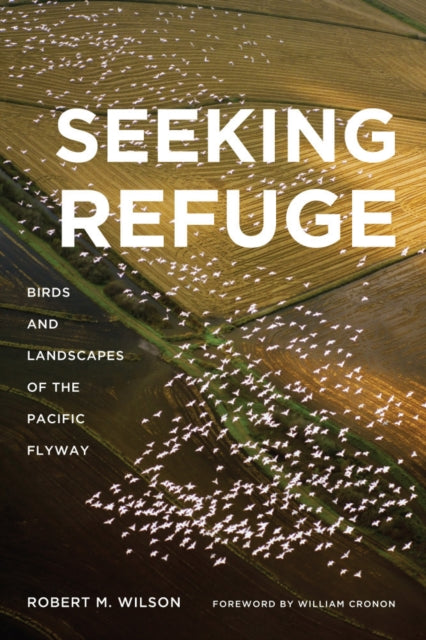 Book cover of: Seeking Refuge