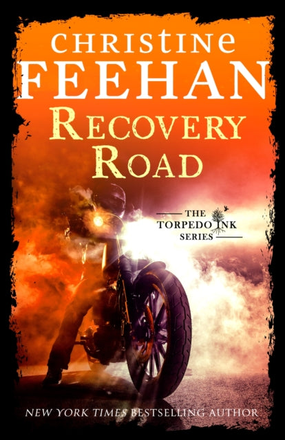 Book cover of: Recovery Road. By: Christine Feehan