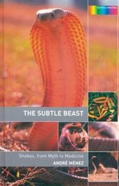 Book cover of: Subtle Beast