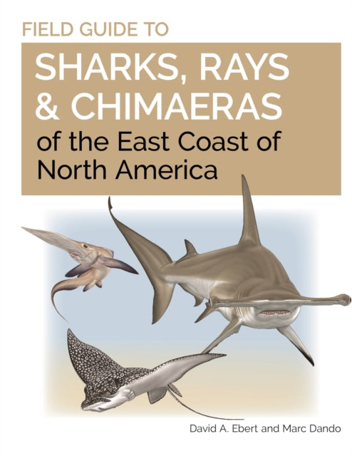 Book cover of: Field Guide to Sharks, Rays and Chimaeras of the East Coast of North America. By: Marc Dando