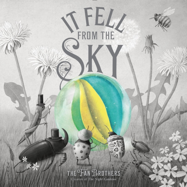 Book cover of: It Fell From The Sky. By: Terry Fan