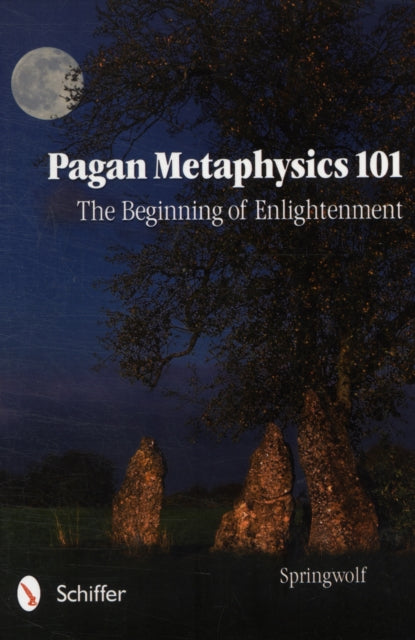 Book cover of: Pagan Metaphysics 101. By: Vickie Carey