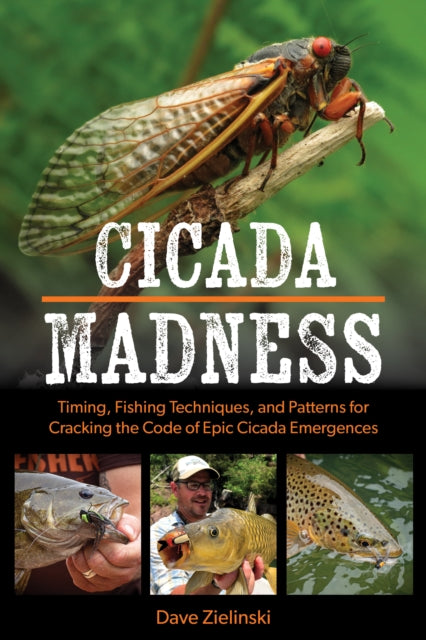Book cover of: Cicada Madness. By: Dave Zielinski