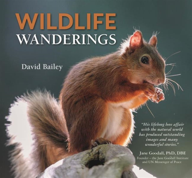 Book cover of: Wildlife Wanderings. By: David Bailey