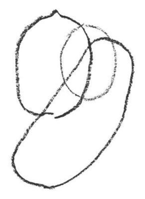 Book cover of: lemon, egg, bread. By: Laura Elliott