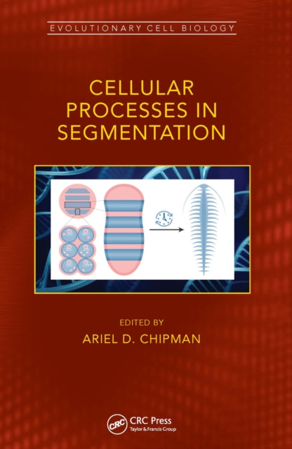 Book cover of: Cellular Processes in Segmentation. By: Ariel D. Chipman