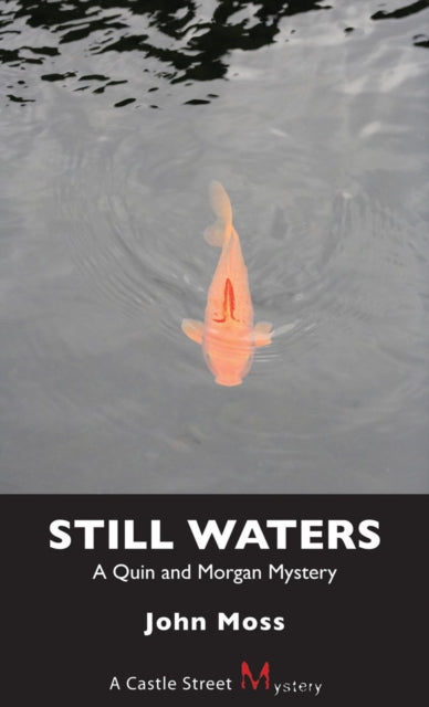 Book cover of: Still Waters