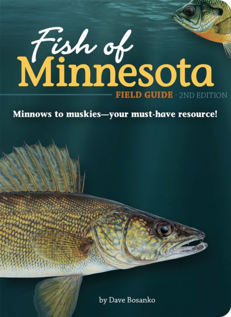 Book cover of: Fish of Minnesota Field Guide. By: Dave Bosanko