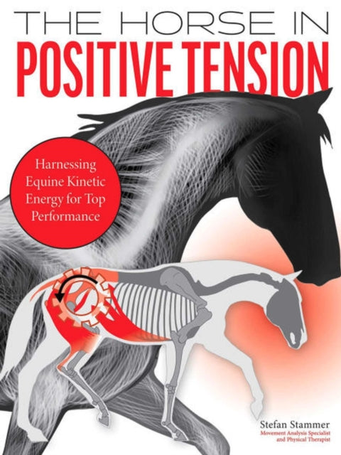 Book cover of: Horse in Positive Tension. By: Stefan Stammer