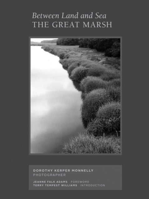 Book cover of: Between Land and Sea: The Great Marsh. By: Dorothy Kerper Monnelly