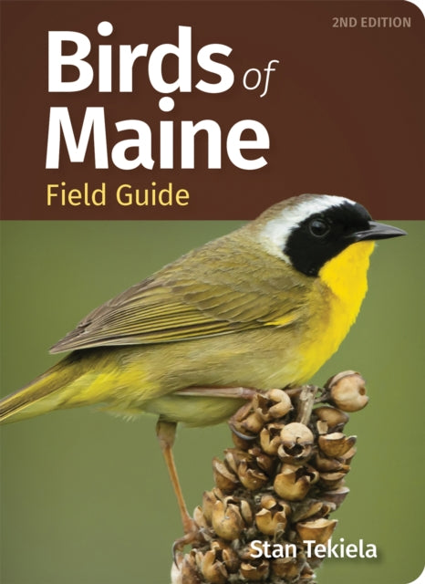 Book cover of: Birds of Maine Field Guide. By: Stan Tekiela