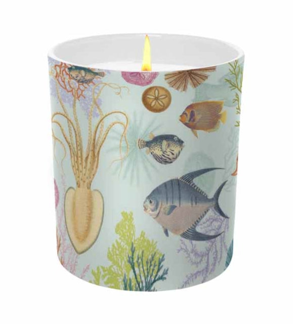 Book cover of: Art of Nature: Under the Sea Scented Glass Candle