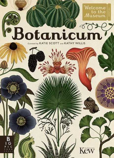 Botanicum 9781783703944 Author