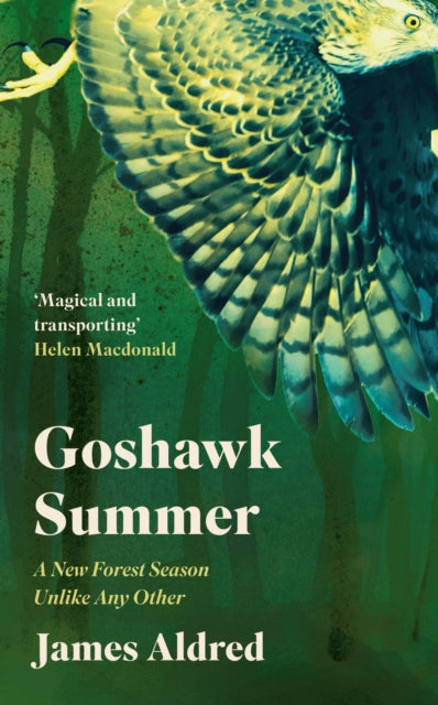 Book cover of: Goshawk Summer. By: James Aldred