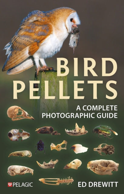 Book cover of: Bird Pellets. By: Ed Drewitt