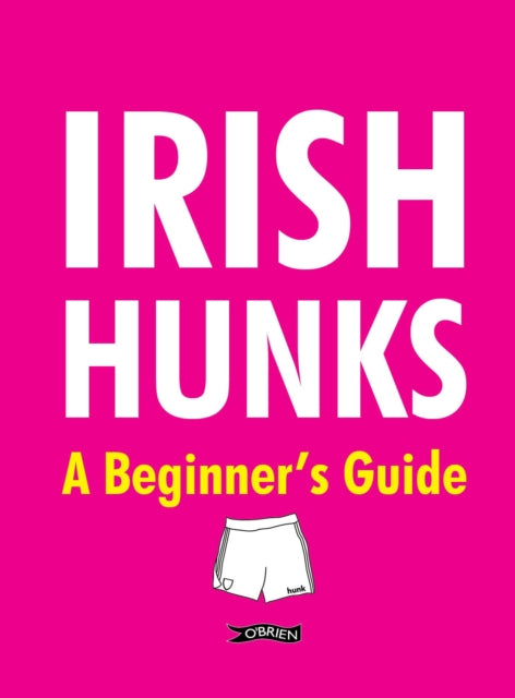 Book cover of: Irish Hunks
