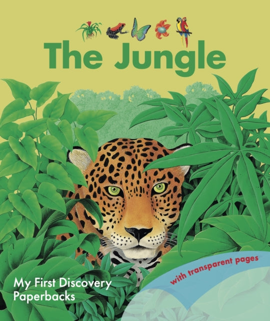 Book cover of: Jungle. By: René Mettler