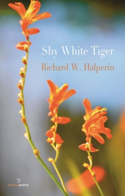 Book cover of: Shy White Tiger