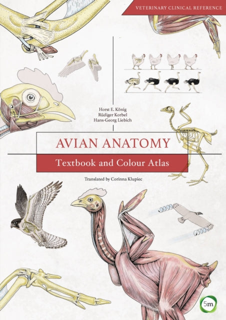 Book cover of: Avian Anatomy 2nd Edition