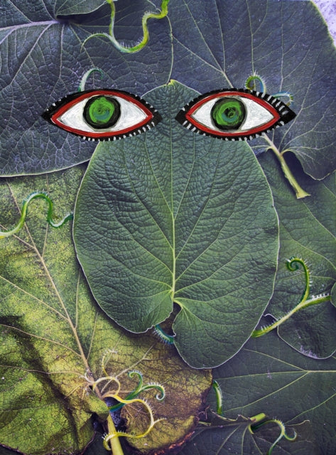 Book cover of: HOJA SANTA. By: Maya Art