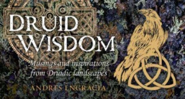 Book cover of: Druid Wisdom