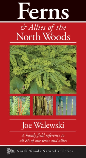 Book cover of: Ferns & Allies of the North Woods. By: Joe Walewski