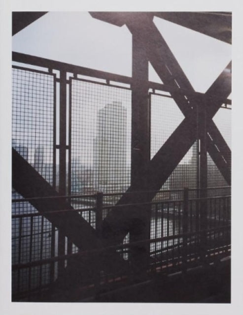 Book cover of: David Schoerner