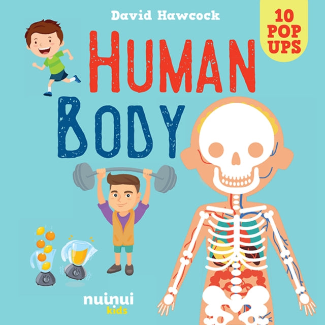 Book cover of: Human Body. By: HAWCOCK, DAVID