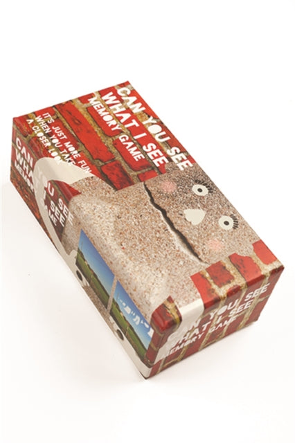 Book cover of: Can You See What I See Memory Game. By: Bis Publishers
