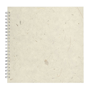 11x11 Posh Black Display 25lvs Natural Banana