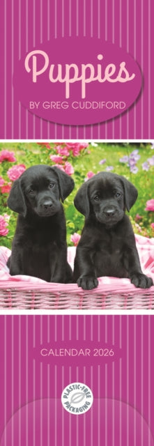 Book cover of: Puppies By Greg Cuddiford Slim Calendar