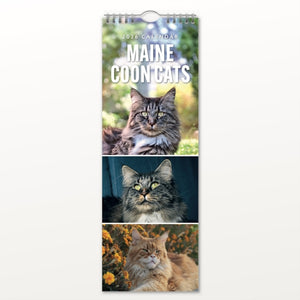Book ISBN 5056823003310