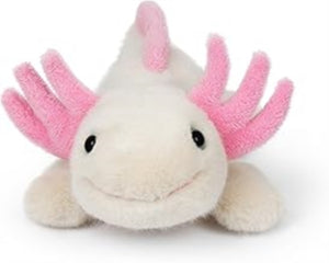Axolotl