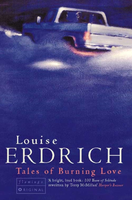 Book cover of: Tales of Burning Love. By: Louise Erdrich