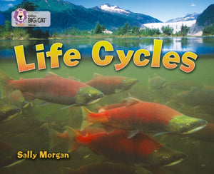 Life Cycles, Band 16/Sapphire