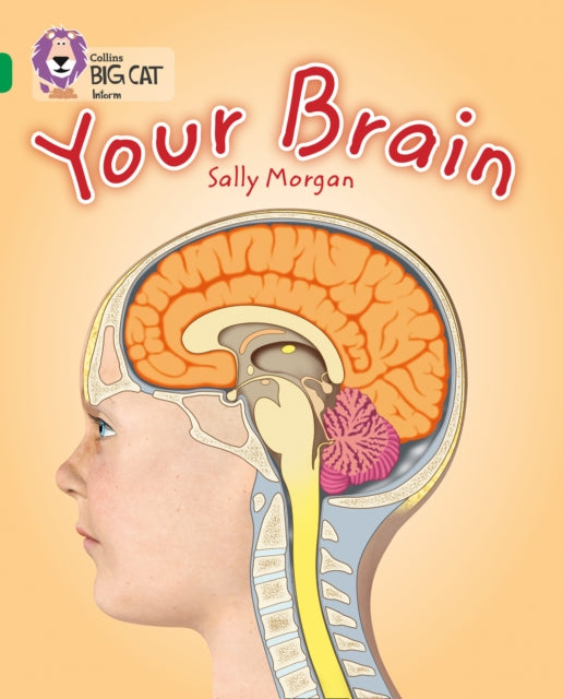 Book cover of: Your Brain. By: Sally Morgan