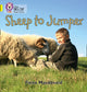 Book cover of: Sheep to Jumper
