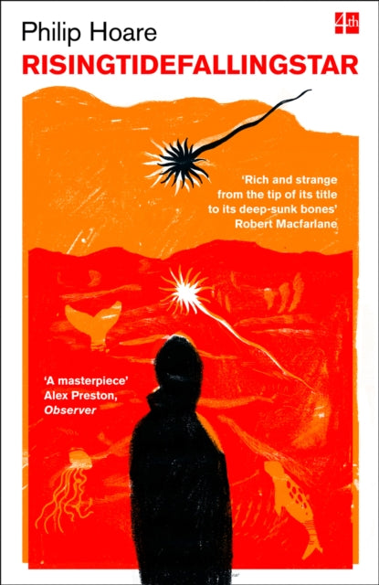 Book cover of: RISINGTIDEFALLINGSTAR. By: Philip Hoare