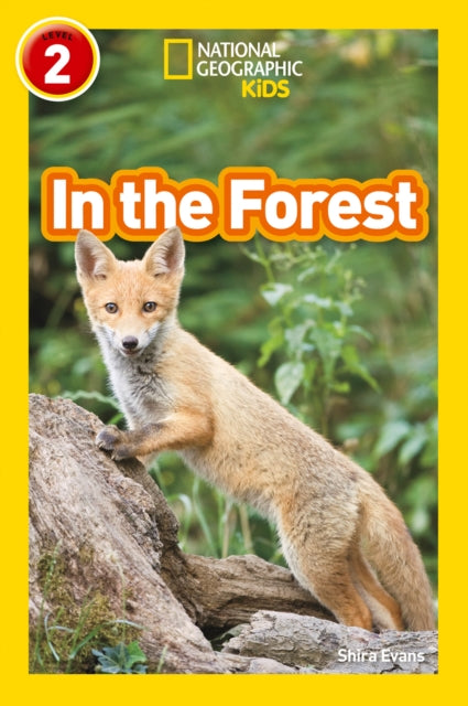 Book cover of: In the Forest. By: Shira Evans