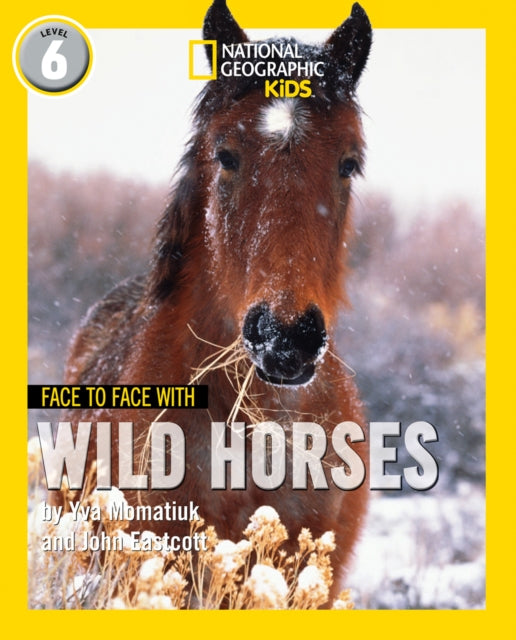 Book cover of: Face to Face with Wild Horses. By: Yva Momatiuk
