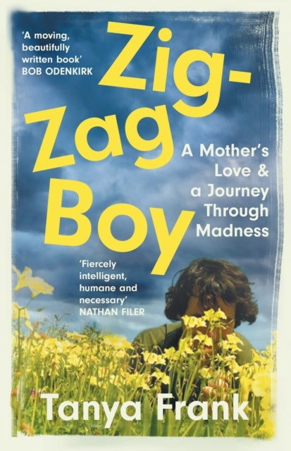 Book cover of: Zig-Zag Boy. By: Tanya Frank