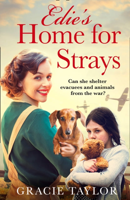 Book cover of: Edie’s Home for Strays