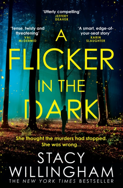 Flicker in the Dark 9780008454487 Stacy Willingham
