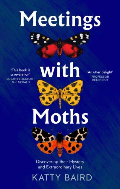 Meetings with Moths, Discovering Their Mystery and Extraordinary Lives