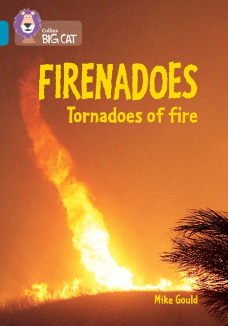 Book cover of: Firenadoes: Tornadoes of fire. By: Mike Gould