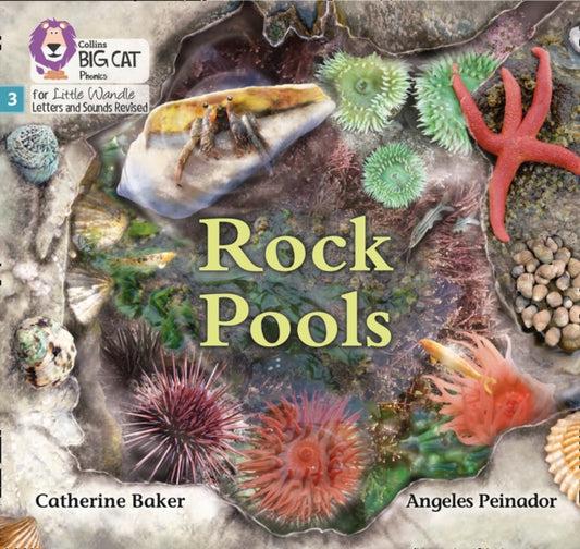 Book cover of: Rock Pools. By: Catherine Baker