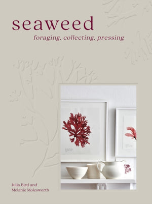 Seaweed, Foraging, Collecting, Pressing