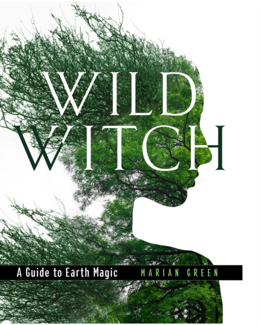 Book cover of: Wild Witch. By: Marian Green