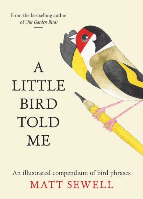 A Little Bird Told Me