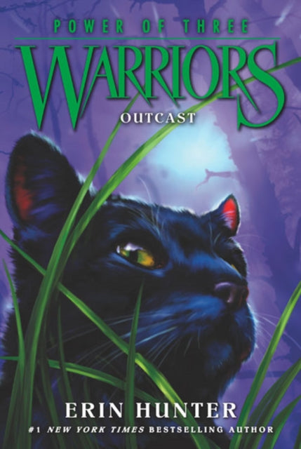 Book cover of: Warriors: Power of Three #3: Outcast